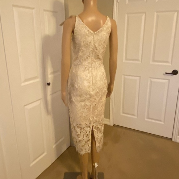 NWT Dress the Population Dress - Picture 6 of 10